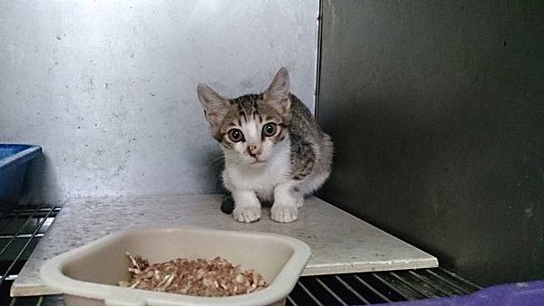 2013-10-19 10.33.34.jpg 2013-10-19 10.33.34.jpg