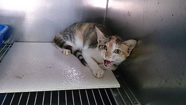 2013-10-19 10.33.48.jpg 2013-10-19 10.33.48.jpg