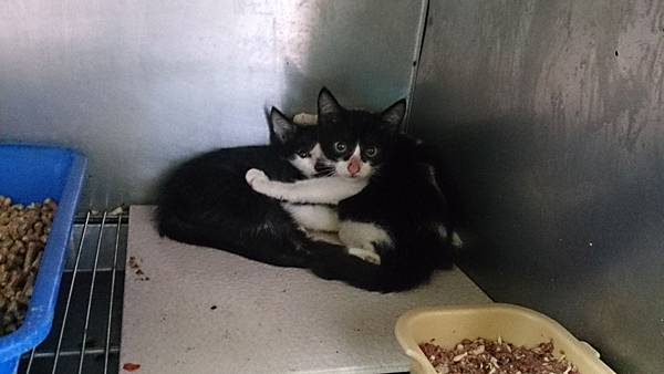 2013-10-19 10.34.09.jpg 2013-10-19 10.34.09.jpg