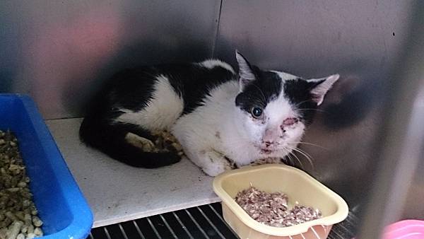 2013-10-19 10.34.19.jpg 2013-10-19 10.34.19.jpg