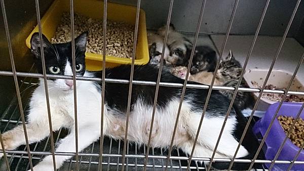 2013-10-19 10.34.33.jpg 2013-10-19 10.34.33.jpg