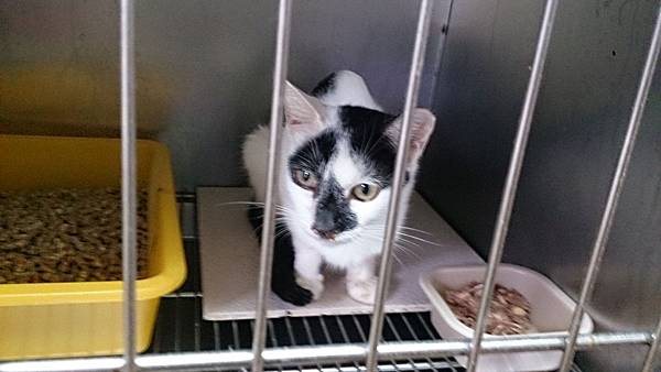 2013-10-19 10.34.43.jpg 2013-10-19 10.34.43.jpg