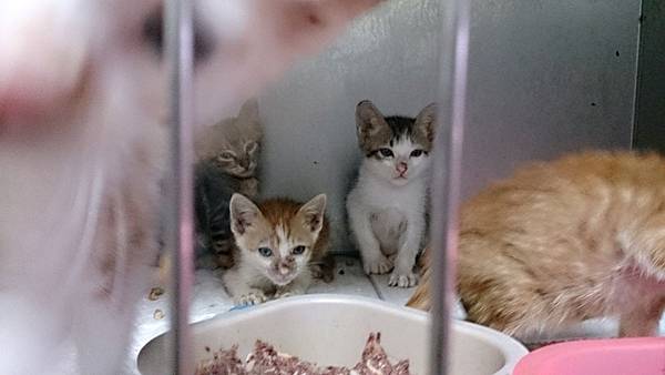 2013-10-19 10.35.14.jpg 2013-10-19 10.35.14.jpg