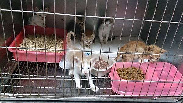 2013-10-19 10.35.30.jpg 2013-10-19 10.35.30.jpg