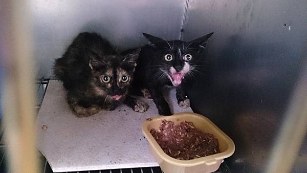 2013-10-19 10.35.40.jpg 2013-10-19 10.35.40.jpg