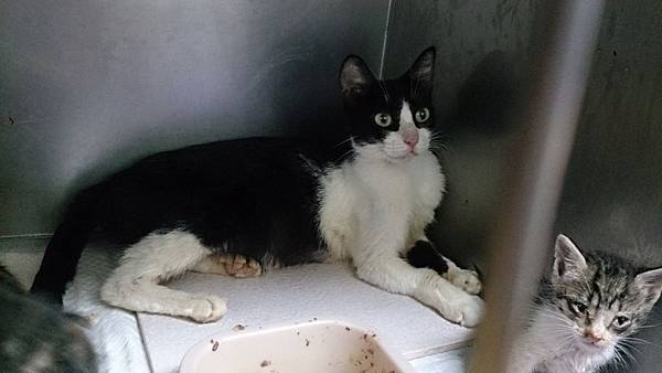 2013-10-19 10.39.05.jpg 2013-10-19 10.39.05.jpg