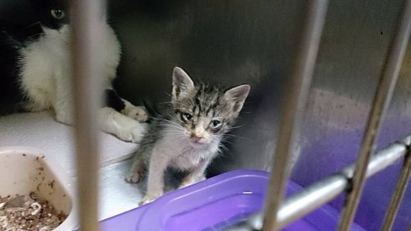 2013-10-19 10.39.10.jpg 2013-10-19 10.39.10.jpg