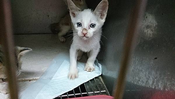 2013-10-19 10.40.53.jpg 2013-10-19 10.40.53.jpg