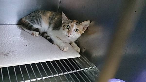 2013-10-19 10.42.28.jpg 2013-10-19 10.42.28.jpg