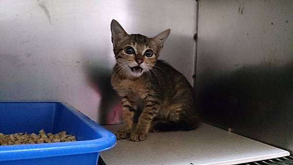 2013-10-19 13.43.00.jpg 2013-10-19 13.43.00.jpg