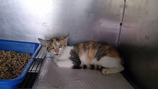 2013-10-19 13.43.25.jpg 2013-10-19 13.43.25.jpg