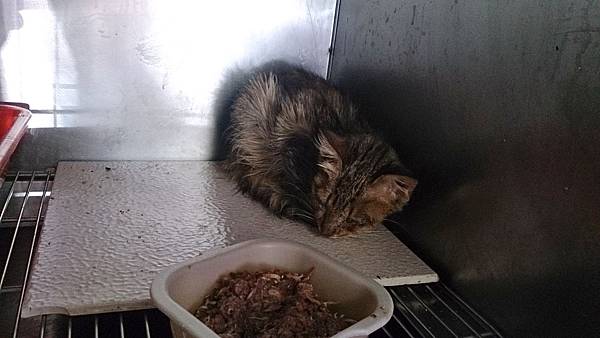 2013-10-19 13.43.33.jpg 2013-10-19 13.43.33.jpg