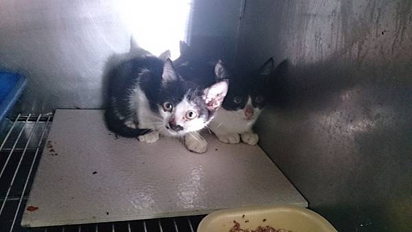 2013-10-19 13.43.57.jpg 2013-10-19 13.43.57.jpg