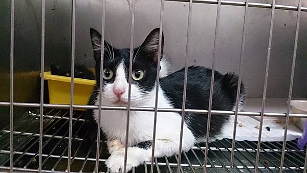 2013-10-19 13.44.18.jpg 2013-10-19 13.44.18.jpg