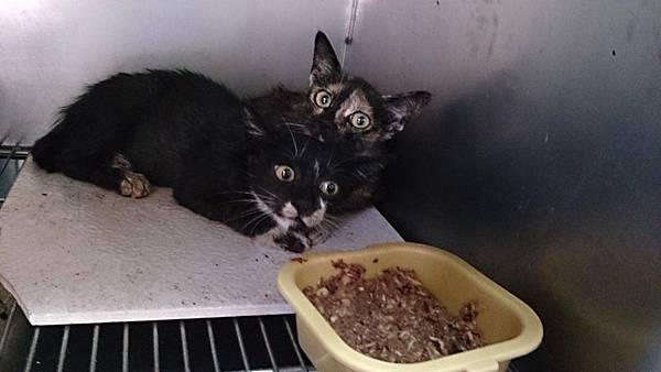 2013-10-19 13.45.32.jpg 2013-10-19 13.45.32.jpg