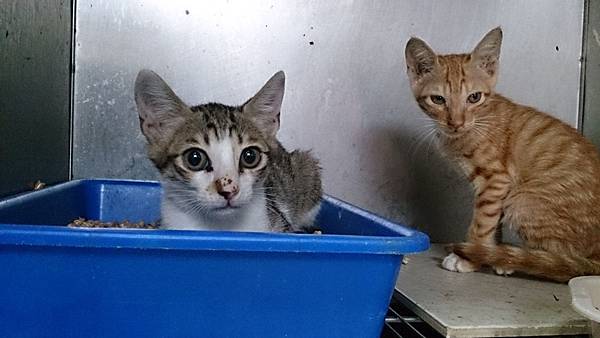 2013-10-19 13.43.15 2013-10-19 13.43.15