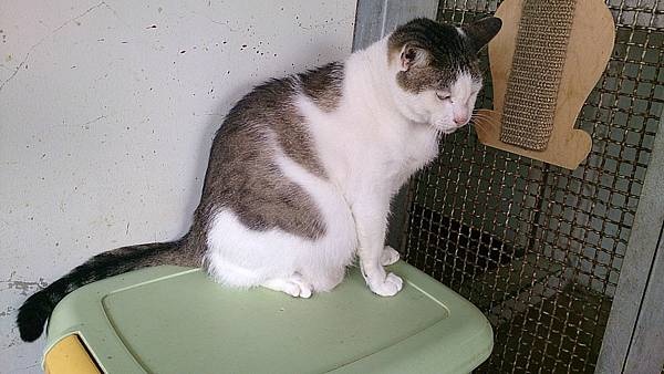 2013-10-19 11.57.29 2013-10-19 11.57.29