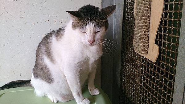 2013-10-19 11.57.41 2013-10-19 11.57.41