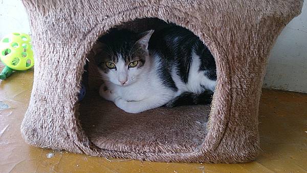 2013-10-19 11.57.47 2013-10-19 11.57.47