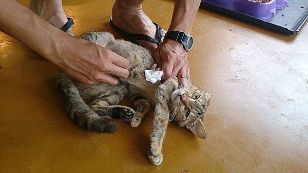 2013-10-19 11.58.07 2013-10-19 11.58.07