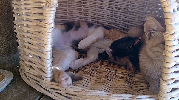 2013-10-19 11.59.51 2013-10-19 11.59.51