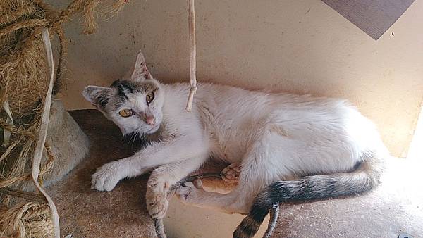 2013-10-19 12.00.09 2013-10-19 12.00.09