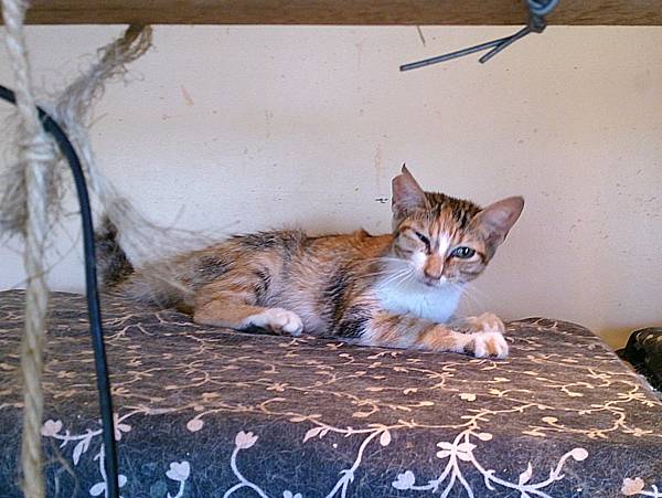 2013-10-19 12.00.19 2013-10-19 12.00.19