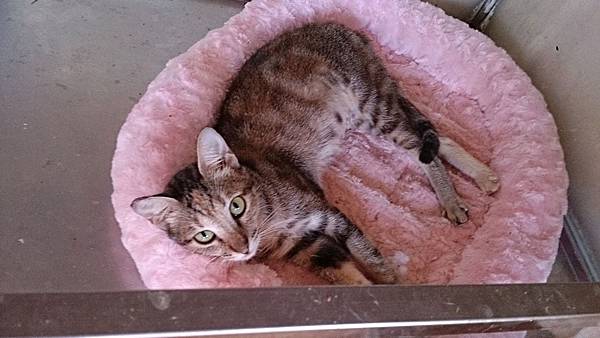 2013-10-19 12.00.32 2013-10-19 12.00.32