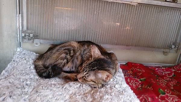 2013-10-19 12.00.39 2013-10-19 12.00.39