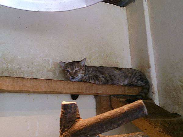 2013-10-19 12.00.45 2013-10-19 12.00.45