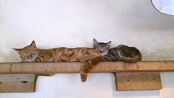 2013-10-19 12.00.50 2013-10-19 12.00.50