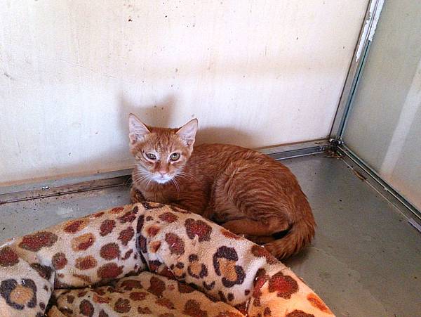 2013-10-19 12.01.21 2013-10-19 12.01.21