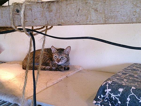 2013-10-19 12.01.37 2013-10-19 12.01.37