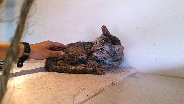 2013-10-19 12.01.45 2013-10-19 12.01.45