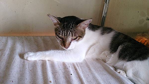 2013-10-19 12.01.52 2013-10-19 12.01.52