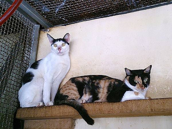 2013-10-19 12.02.03 2013-10-19 12.02.03