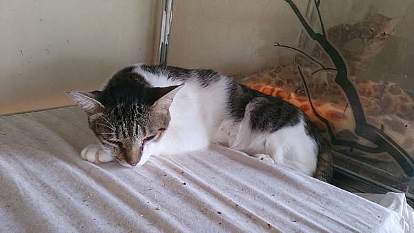 2013-10-19 12.02.19 2013-10-19 12.02.19