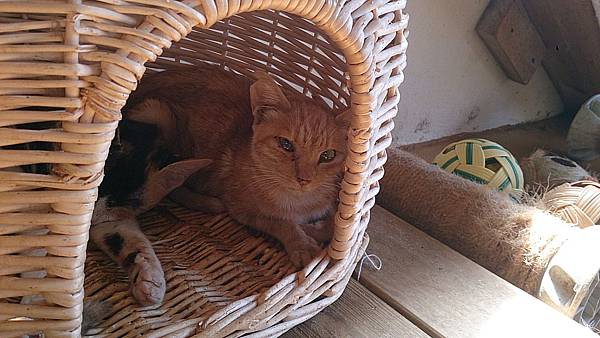 2013-10-19 12.02.27 2013-10-19 12.02.27