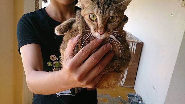 2013-10-19 12.02.45 2013-10-19 12.02.45