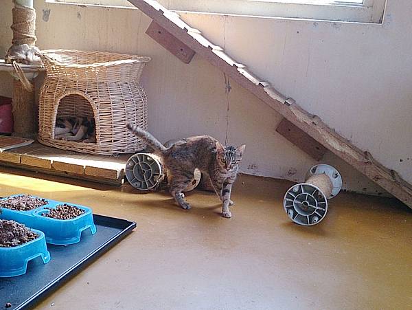 2013-10-19 12.06.09 2013-10-19 12.06.09