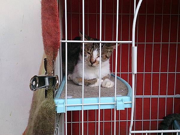 2013-10-19 10.36.32 2013-10-19 10.36.32