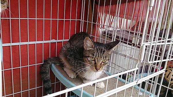 2013-10-19 10.36.38 2013-10-19 10.36.38