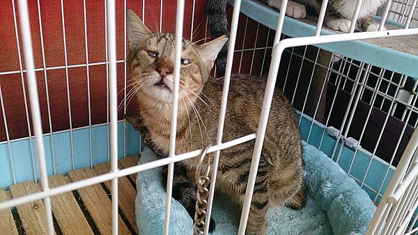 2013-10-19 10.36.44 2013-10-19 10.36.44