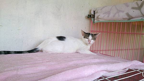 2013-10-19 10.36.58 2013-10-19 10.36.58