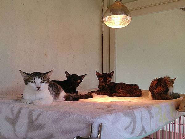 2013-10-19 10.37.04 2013-10-19 10.37.04