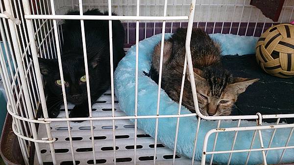 2013-10-19 10.37.12 2013-10-19 10.37.12