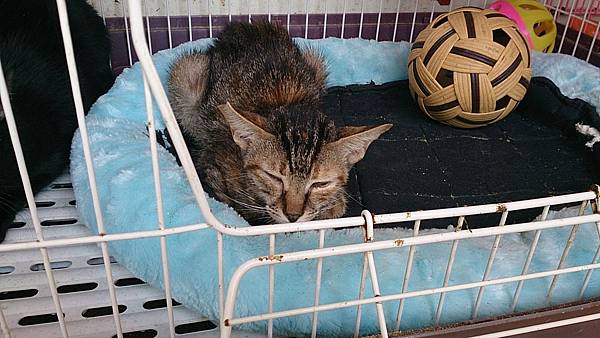 2013-10-19 10.37.16 2013-10-19 10.37.16