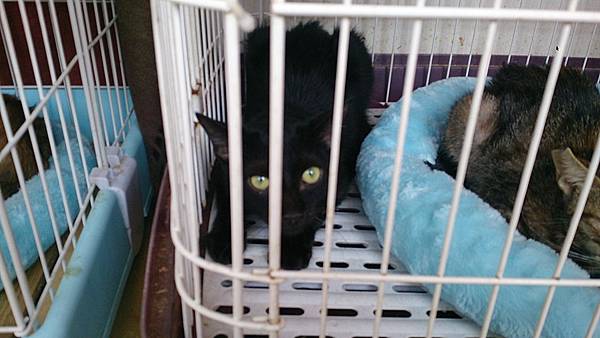 2013-10-19 10.37.18 2013-10-19 10.37.18