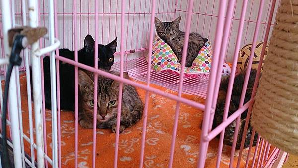 2013-10-19 10.37.25 2013-10-19 10.37.25