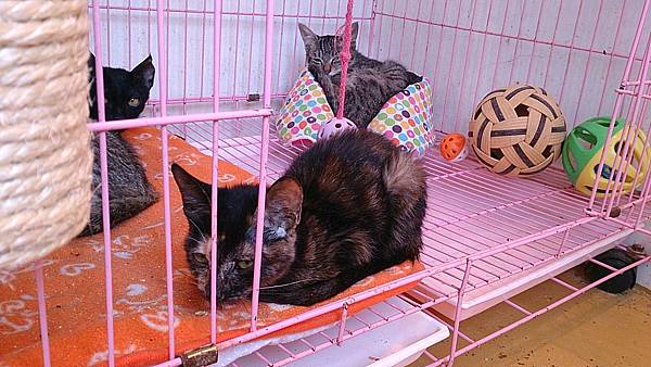 2013-10-19 10.37.32 2013-10-19 10.37.32